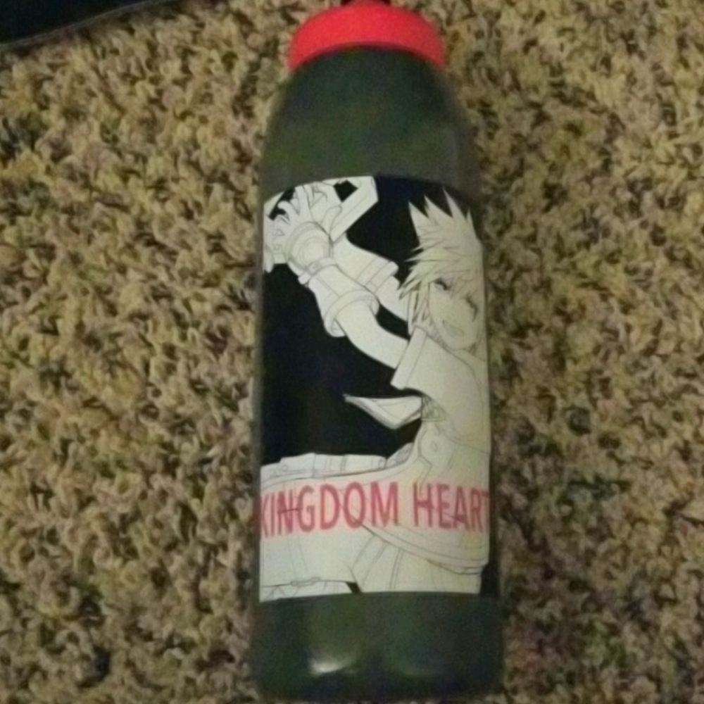 Kingdom Hearts Sora squeez water bottle